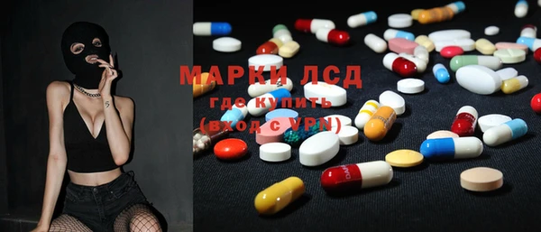 прущий лед Алзамай