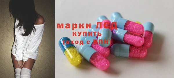 прущий лед Алзамай