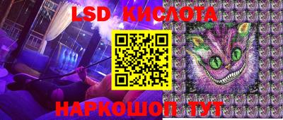 PSILOCYBIN Гатчина
