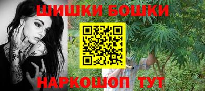 PSILOCYBIN Гатчина