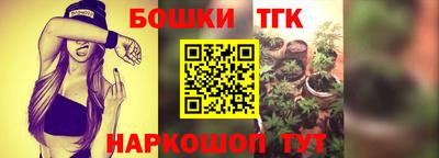 шишки Гагарин