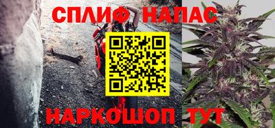 эйфоретик Гай