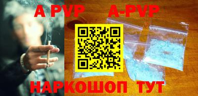 PSILOCYBIN Гатчина