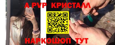 шишки Гагарин