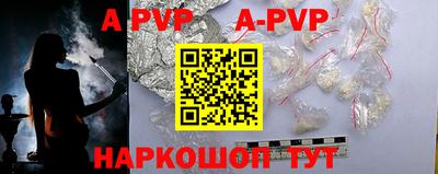 PSILOCYBIN Гатчина