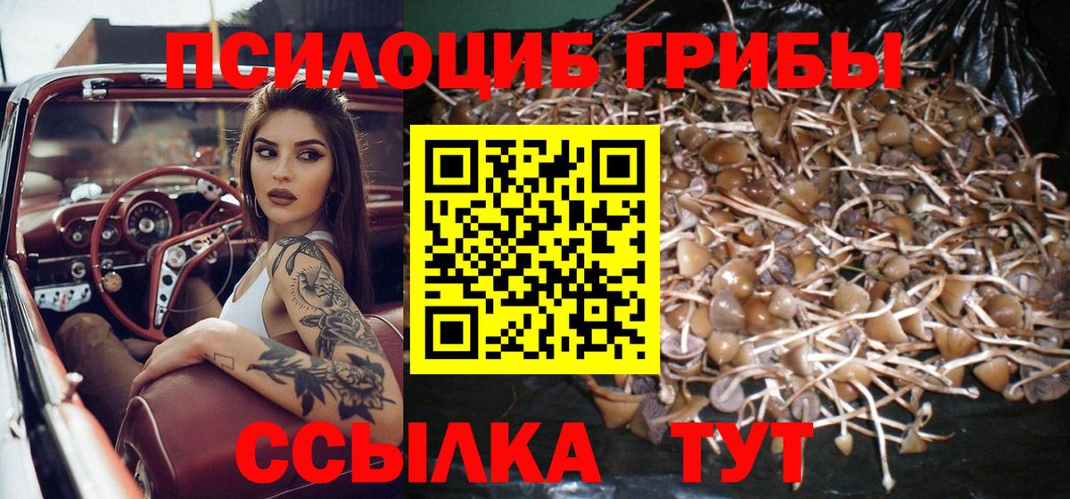 Галлюциногенные грибы ЛСД Нижний Новгород