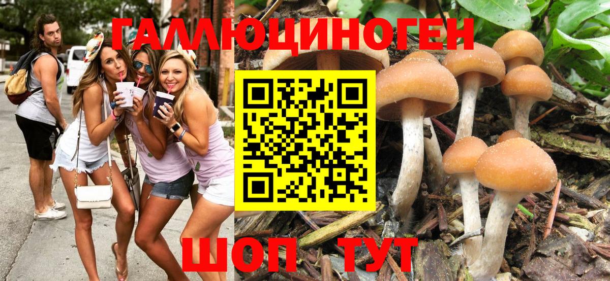 Псилоцибиновые грибы Psilocybine cubensis  Псилоцибиновые грибы Cubensis  Вход с VPN  Нижний Новгород 